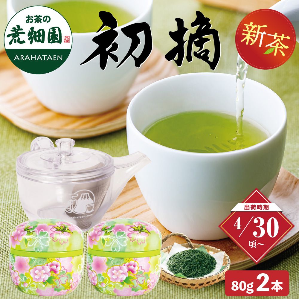 初摘・割れない急須箱入 特別送料無料 ※出荷時期4/30頃〜　