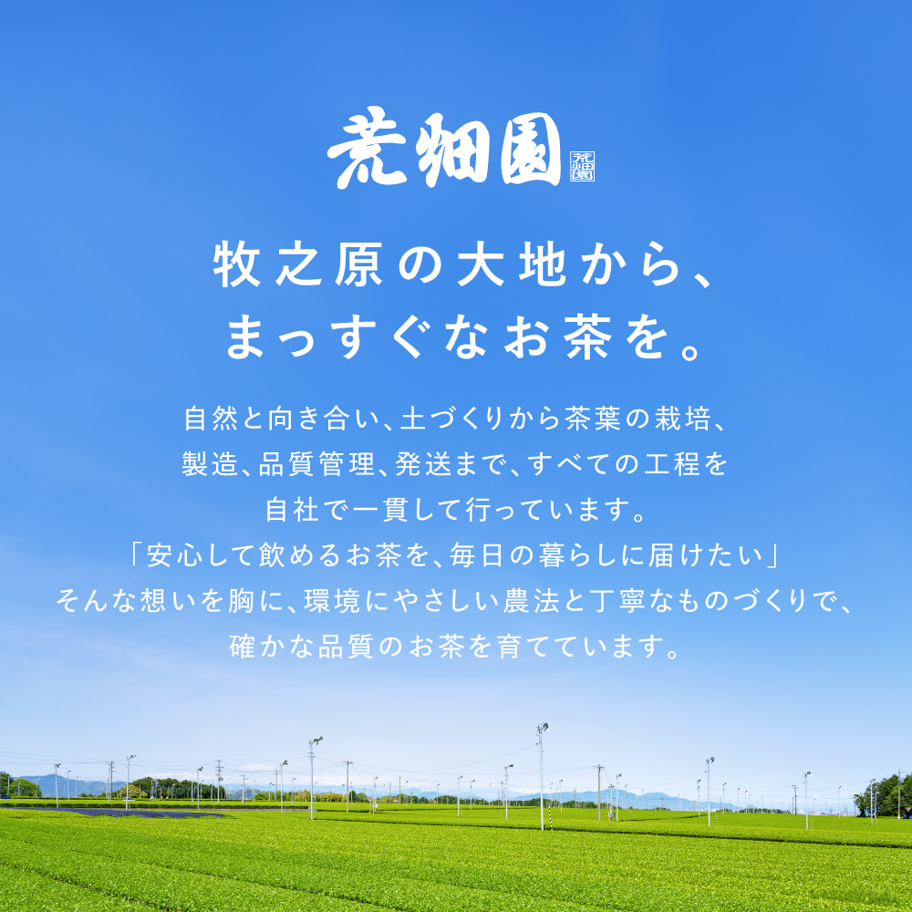 ■【おひとり様1点まで】33%OFF 国産プーアール茶 5g×30ヶ入 送料無料　
