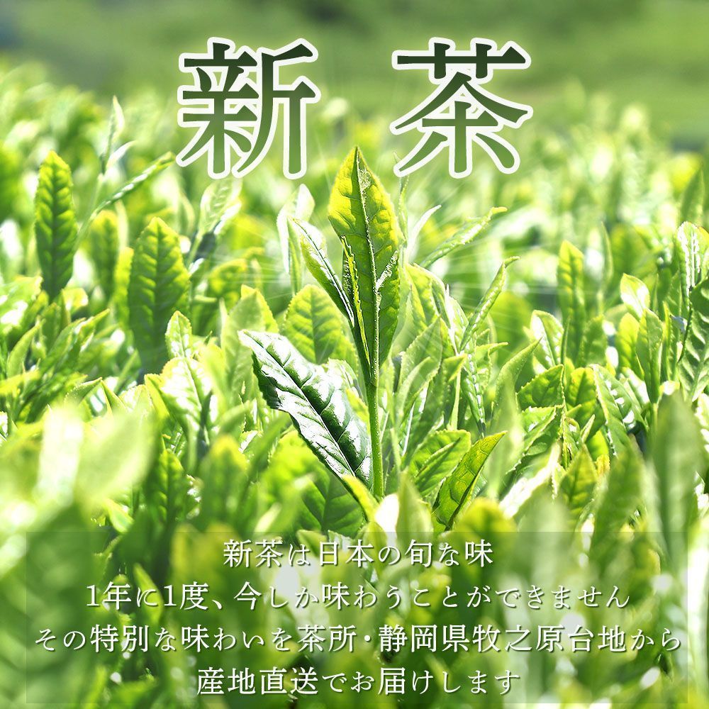 ■ハガキ 新茶 手摘み粉茶2袋セット 送料無料※出荷時期5/10頃〜　