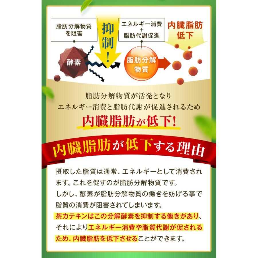 ■ハガキ 10％OFF たっぷりカテキン緑茶200g 2袋セット 送料無料　