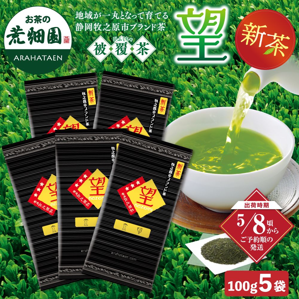 新茶　望金印100g 5袋セット 送料無料 ※出荷時期5/8頃〜　