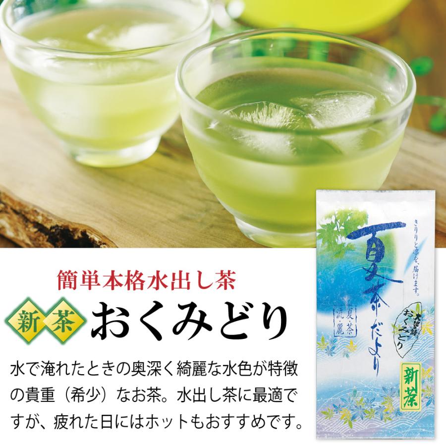 ■新茶 おくみどり6袋＋茶缶＆茶さじおまけ 送料無料 ※出荷時期5/23頃〜 