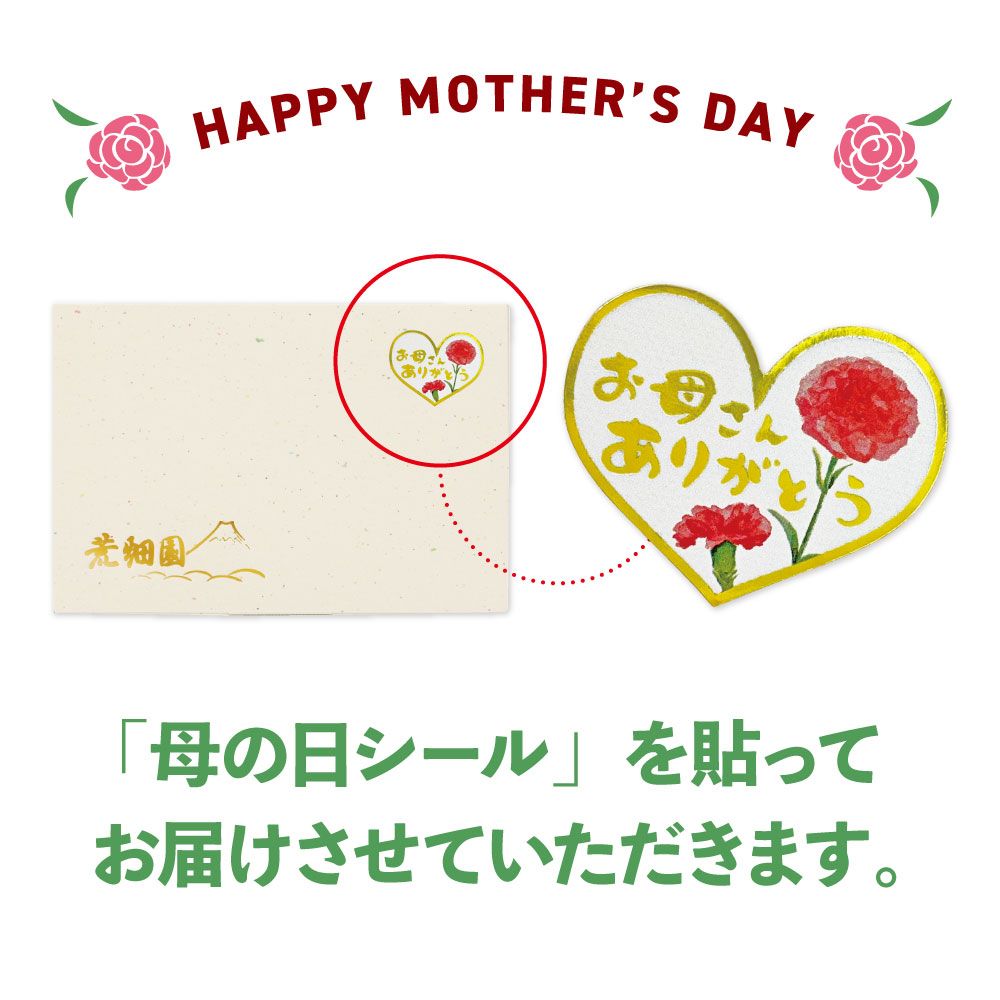 新茶 母の日3本箱入 特別送料無料 ※出荷時期5/7頃〜　