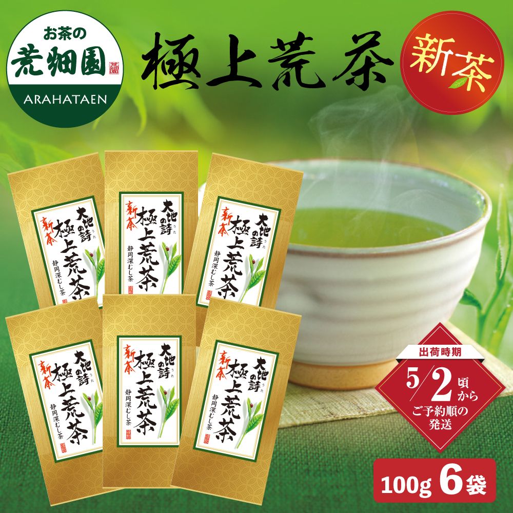 新茶 極上荒茶100g 6袋セット 送料無料 ※出荷時期5/2頃〜　
