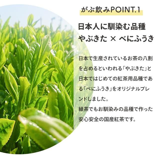 ■50%OFF がぶがぶ飲める静岡紅茶 送料無料　