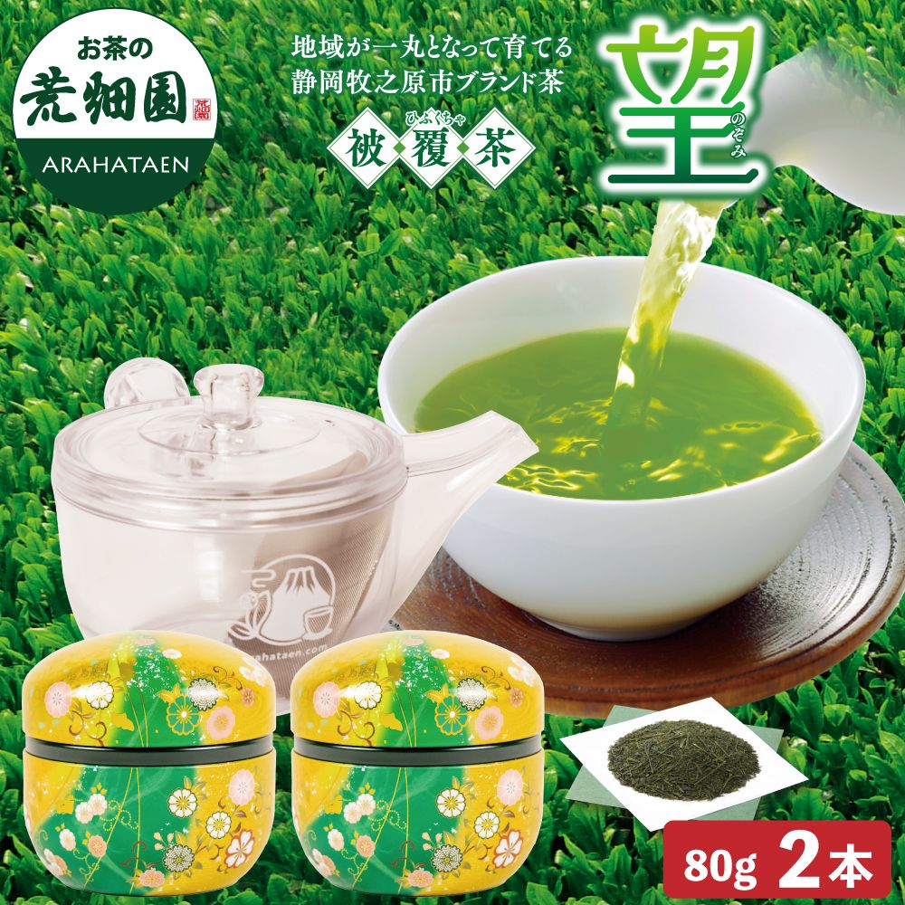 10％OFF 望 金印・割れない急須箱入　