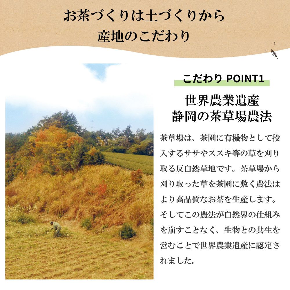 ■30%OFF 静岡茶旬3袋 新聞掲載 送料無料　