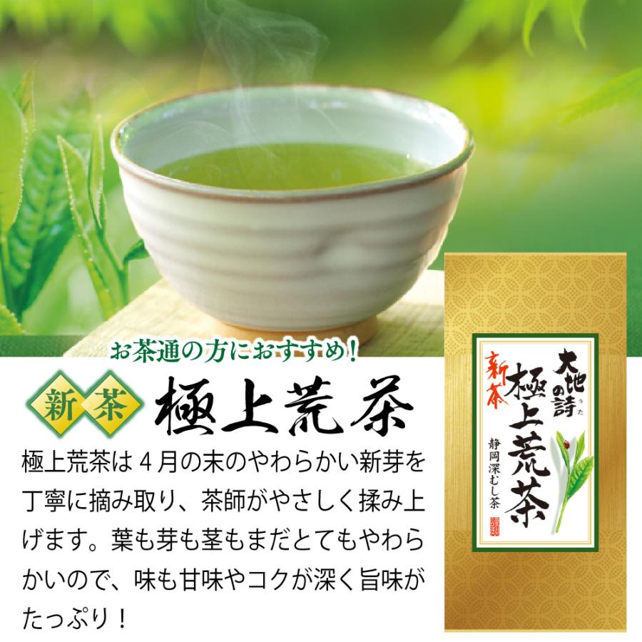 ■ハガキ 5％OFF 新茶 特選荒茶10袋＋大地の旬100gおまけ 送料無料  ※出荷時期5/15頃〜