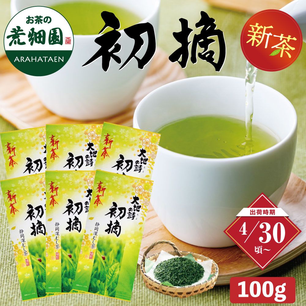 新茶 初摘100g入×6袋セット 送料無料 ※出荷時期4/30頃〜　