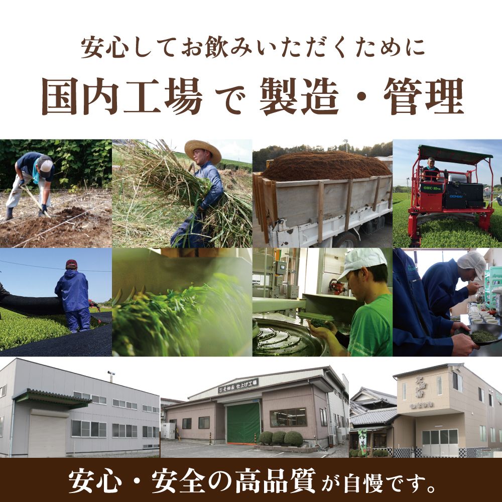 ■お茶屋が届ける深むし茶ティーパック 2.5g×40包　