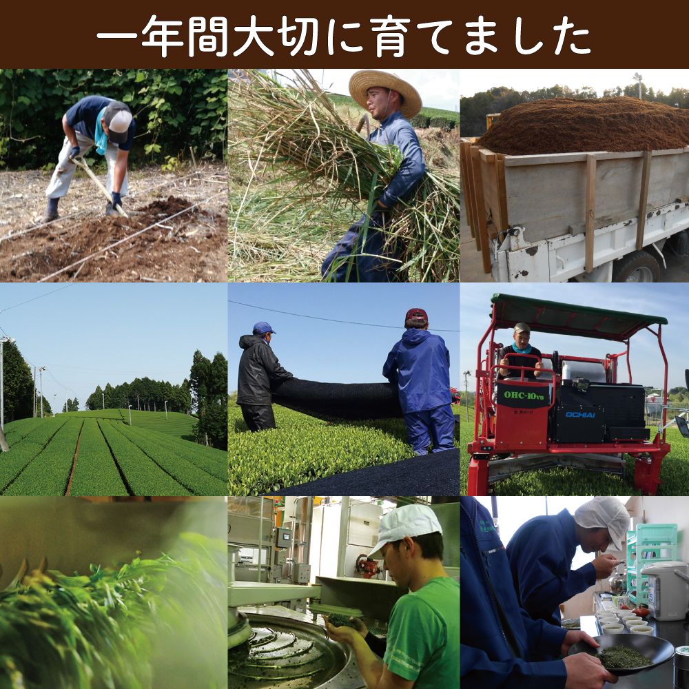 ■富士山パッケージ（70ｇ）3袋 送料無料　