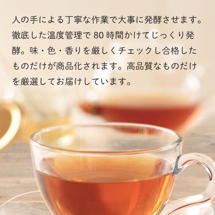 ■10%OFF 国産プーアール茶 SARYU-SOSO 2g×30包 送料無料　