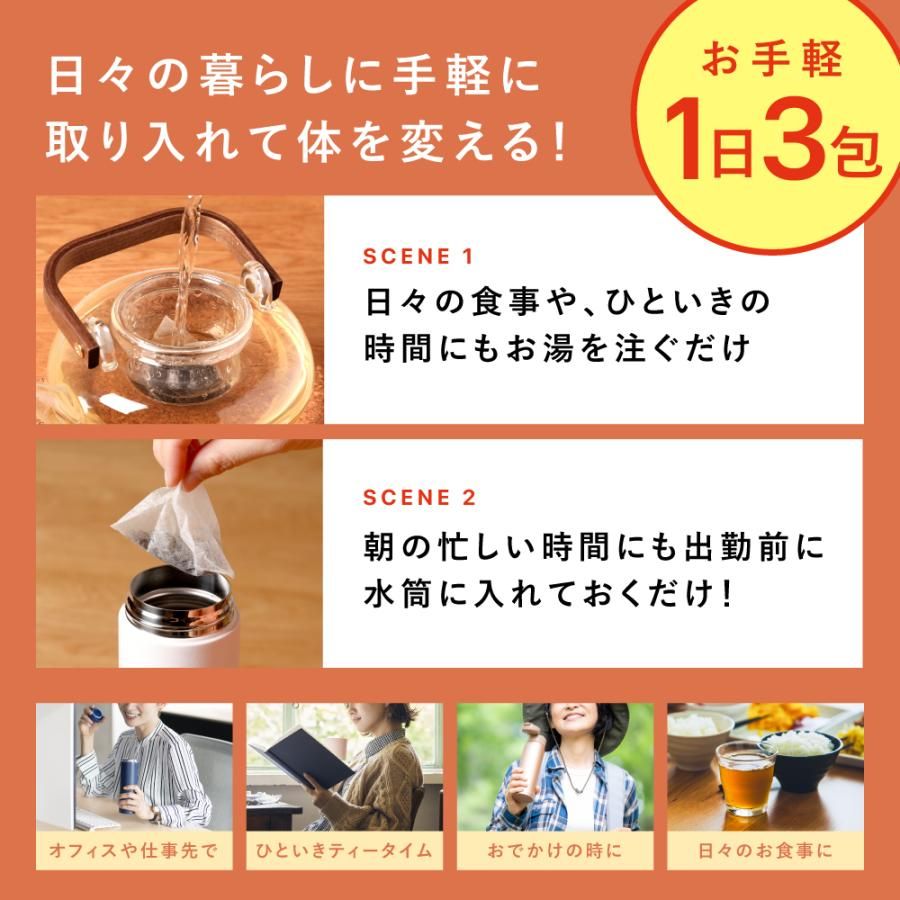 ■17％OFF 国産プーアール茶（2g×30包）3袋＋プレゼント 送料無料　
