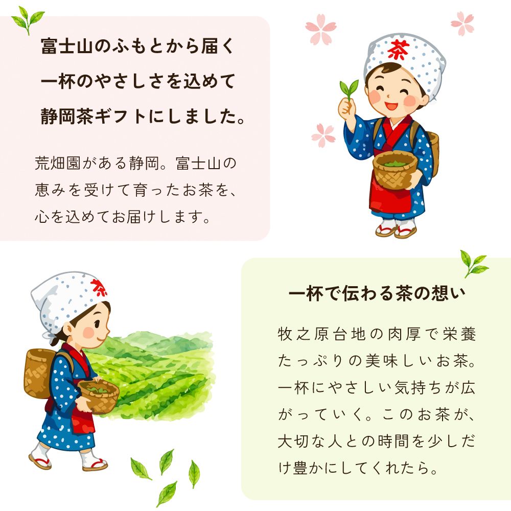 ■富士山パッケージ（70ｇ）3袋 送料無料　