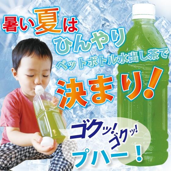 ■望 ペットボトル用12袋＋新茶 望金印ティーパックおまけ 送料無料　