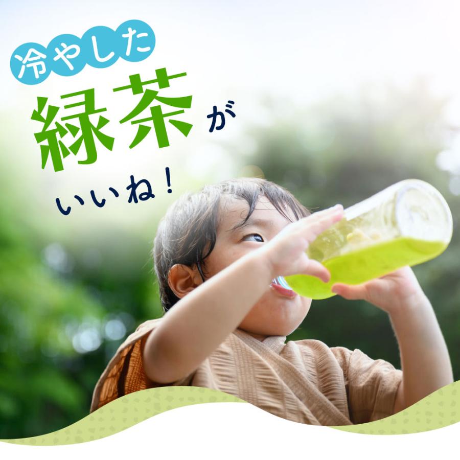 ■冷やし水出し緑茶パック2袋+おまけ 送料無料　