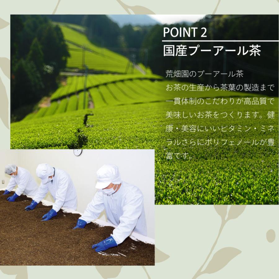 朝美人革命 黒豆&杜仲茶　