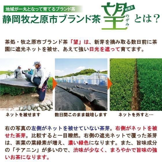 ■おくみどり2袋+望 銀印1袋+おまけ 送料無料　