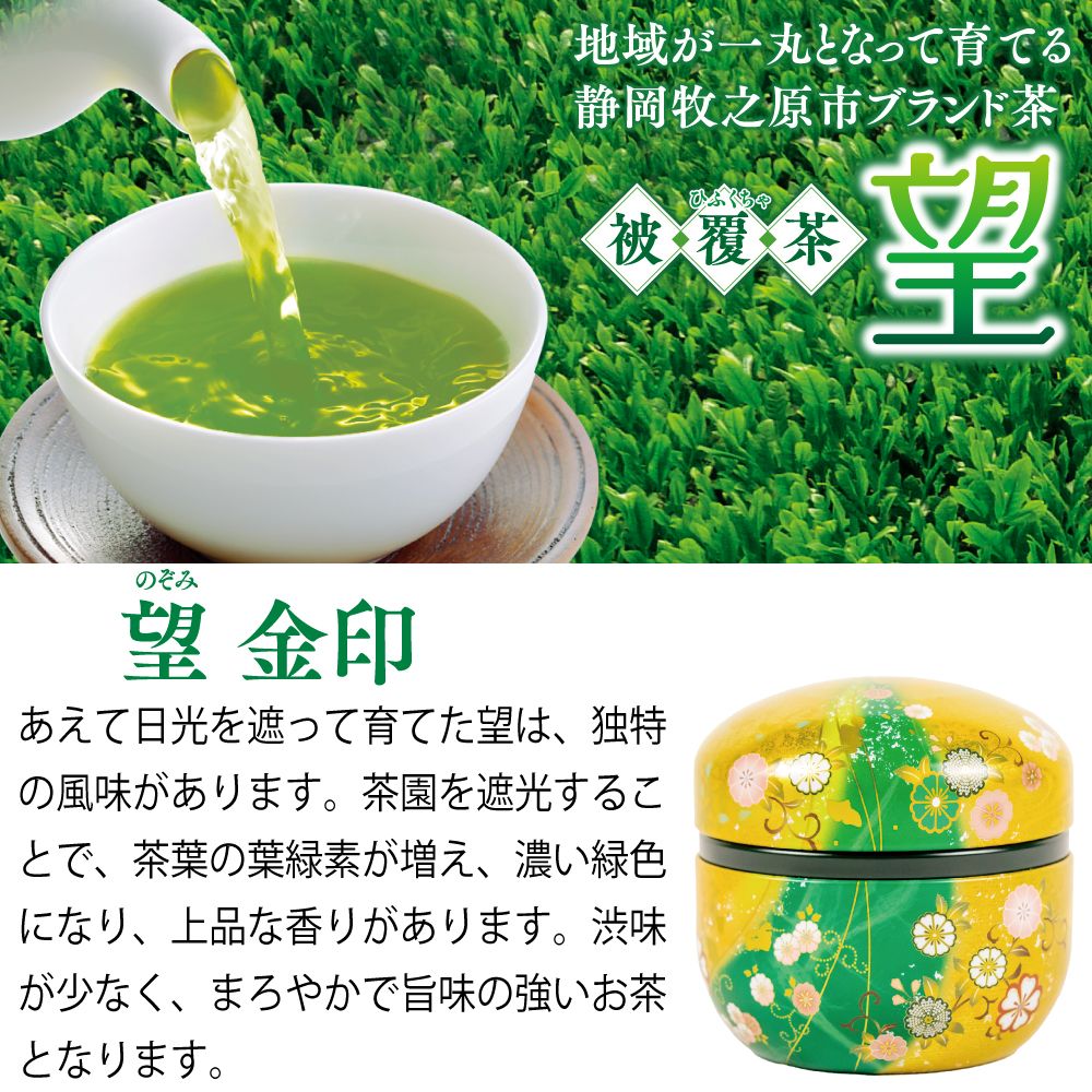 10％OFF 望 金印・茶こし箱入　