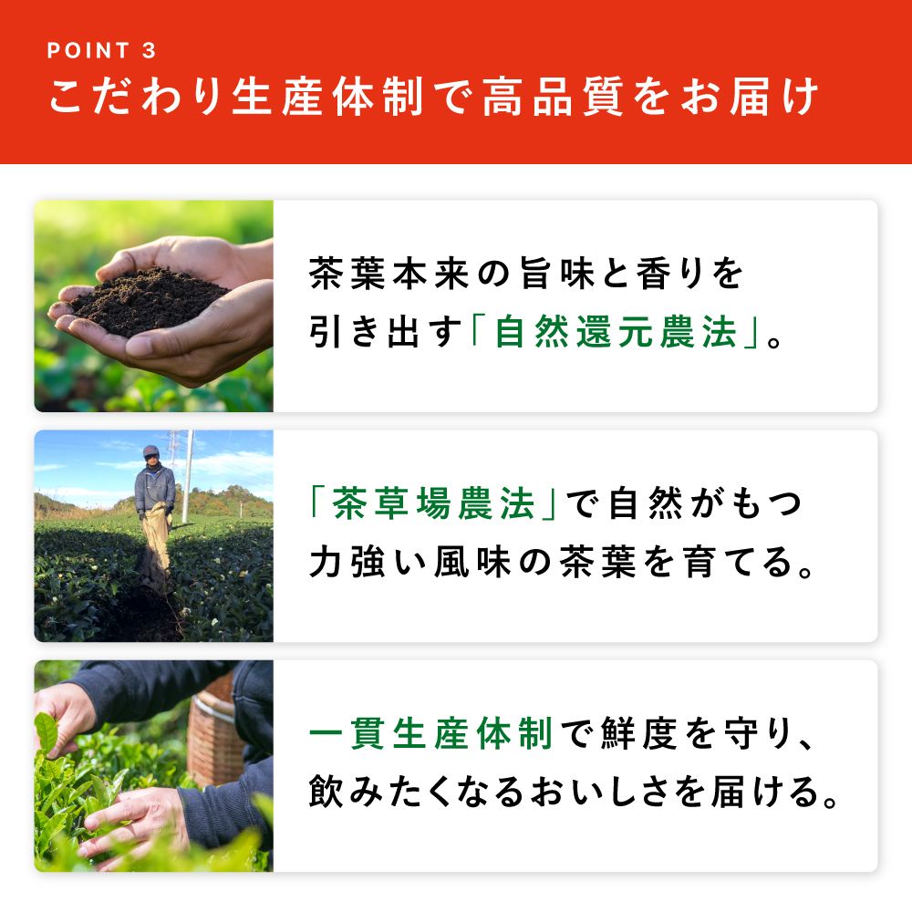 ■20%OFF 国産プーアール茶 SARYU-SOSO 5g×30包 送料無料　