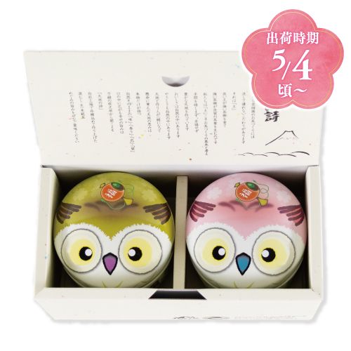 新茶　ふくろう缶2本箱入 ※出荷時期5/4頃〜　