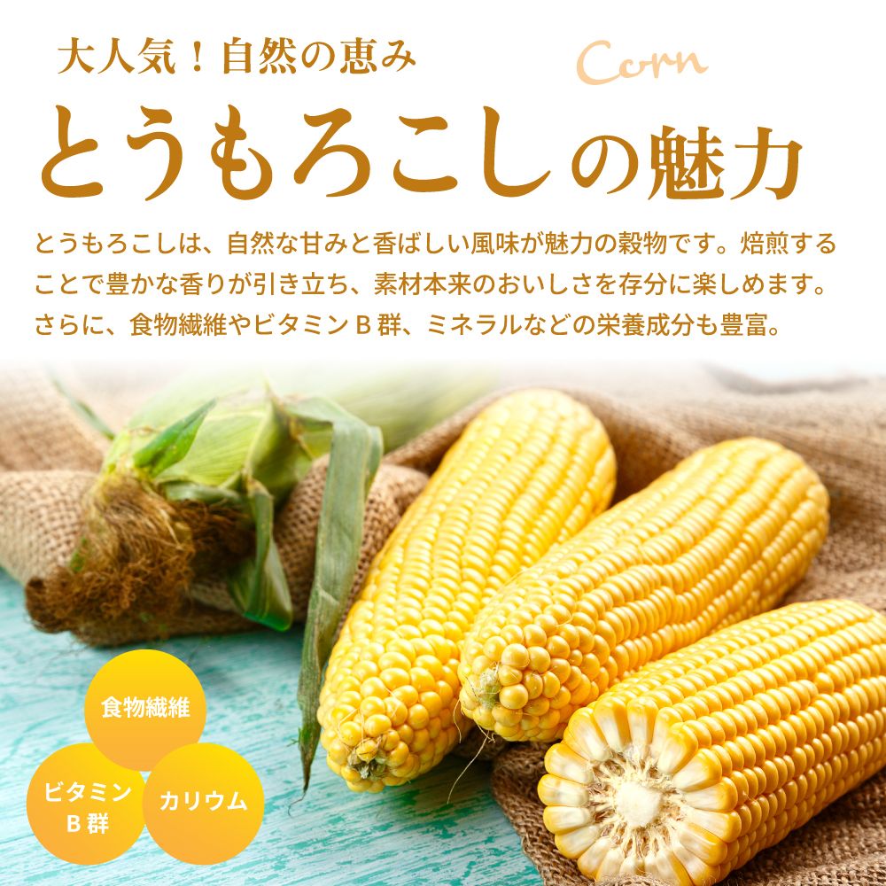 お茶屋が届けるコーン茶ティーパック 4g×40包 
