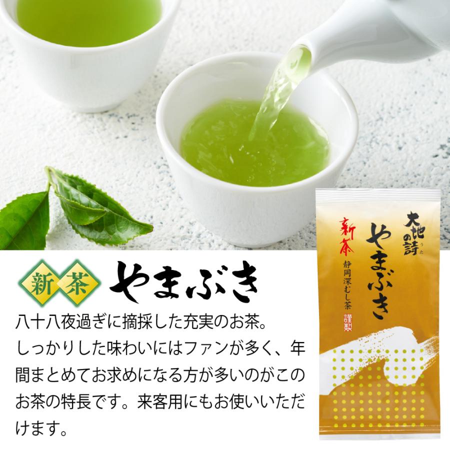 ■新茶 やまぶき6袋＋七宝富士缶＆茶さじおまけ 送料無料 ※出荷時期5/8頃〜　