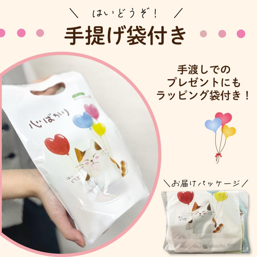 ■誕生日みたらしちゃんフィギュア&ティーパックセット 送料無料　