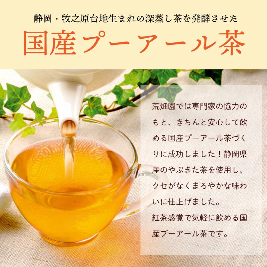 ■10%OFF 国産プーアール茶 SARYU-SOSO 2g×30包 送料無料　