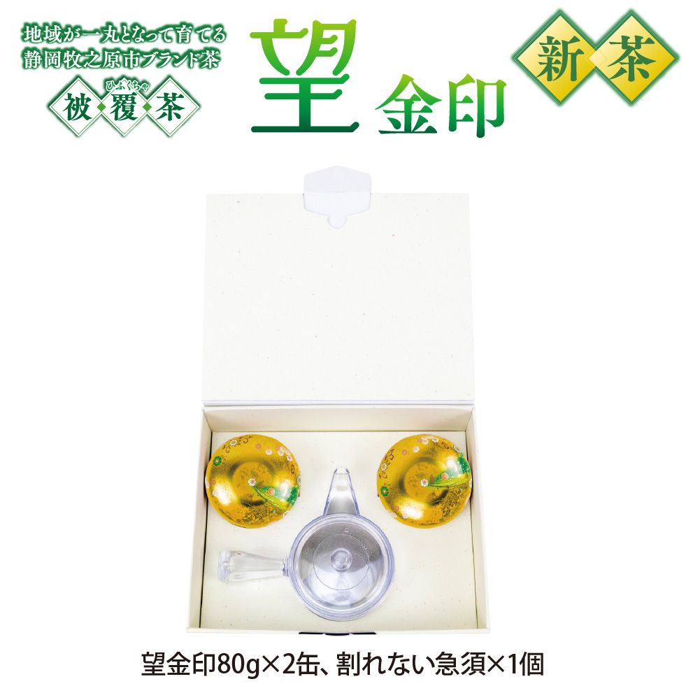 望 金印・割れない急須箱入 ※出荷時期5/8頃〜　