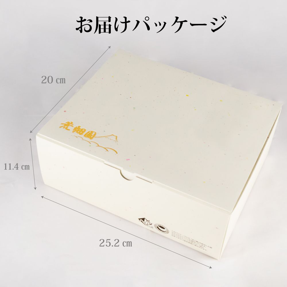 10％OFF 望 金印・割れない急須箱入　