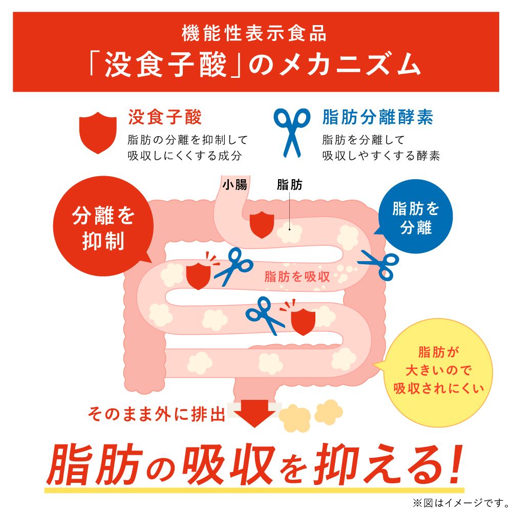 ■38%OFF 国産プーアール茶 5g×10ヶ入 送料無料 【お一人様2点まで】　