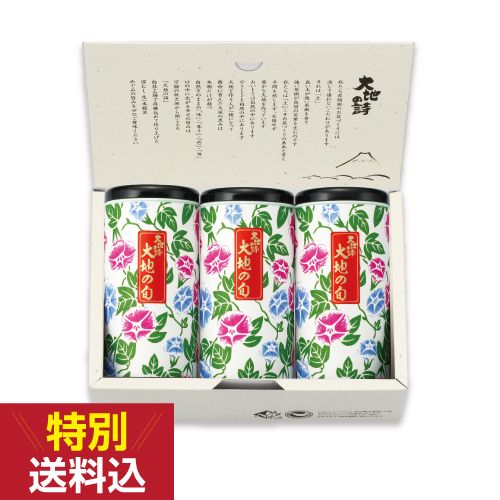 特別送料込　あさがお缶3本箱入　