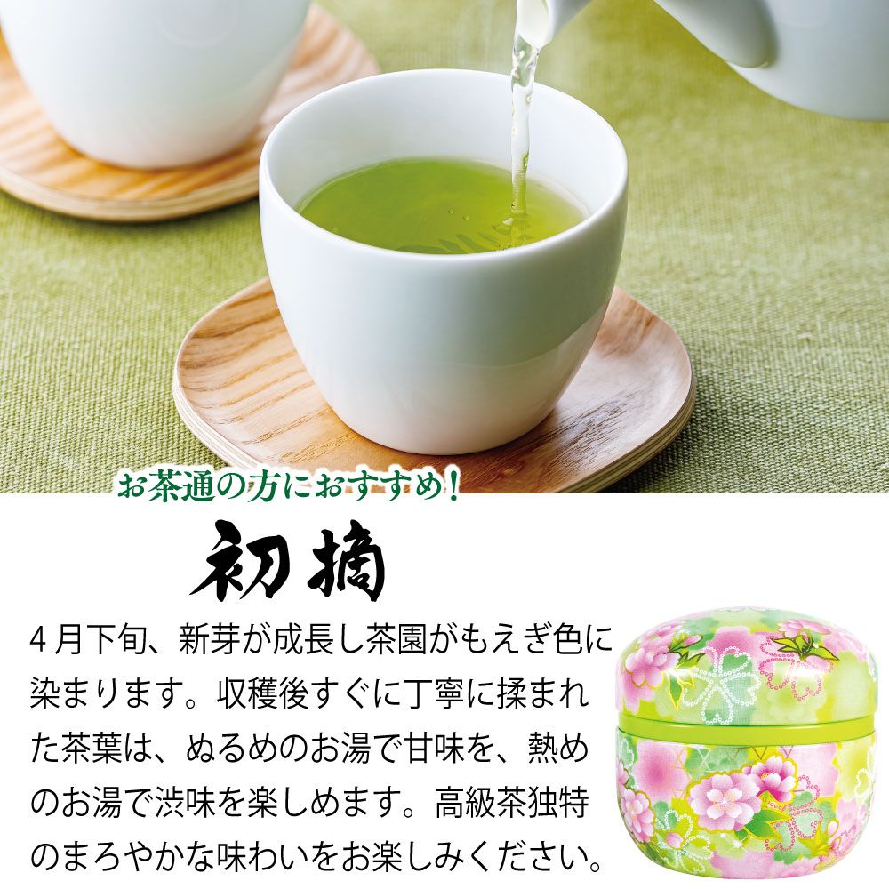 初摘・割れない急須箱入 送料無料　