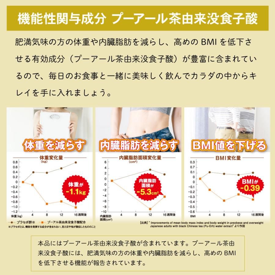 ■10%OFF 国産プーアール茶 SARYU-SOSO 2g×30包 送料無料　