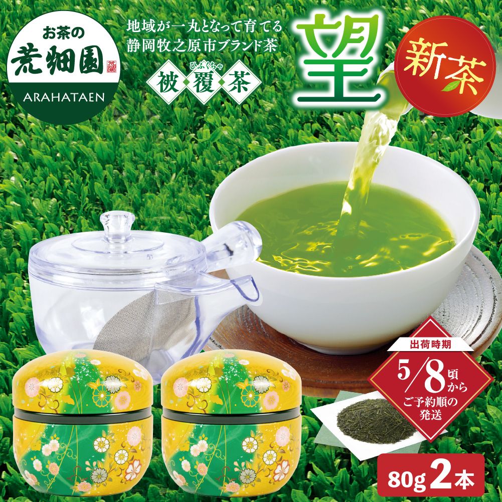 望 金印・割れない急須箱入 ※出荷時期5/8頃〜　