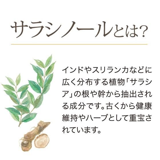 サラシア入りのほうじ茶　