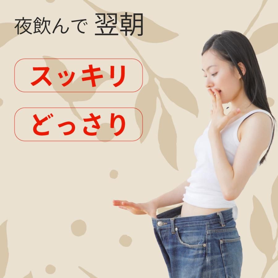 朝美人革命ほうじ&ジンジャー　
