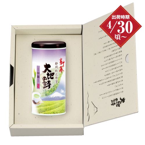 新茶　初摘 100g紙缶箱入 ※出荷時期4/30頃〜　