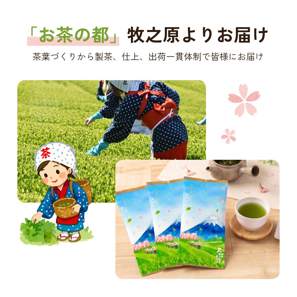■富士山パッケージ（70ｇ）3袋 送料無料　