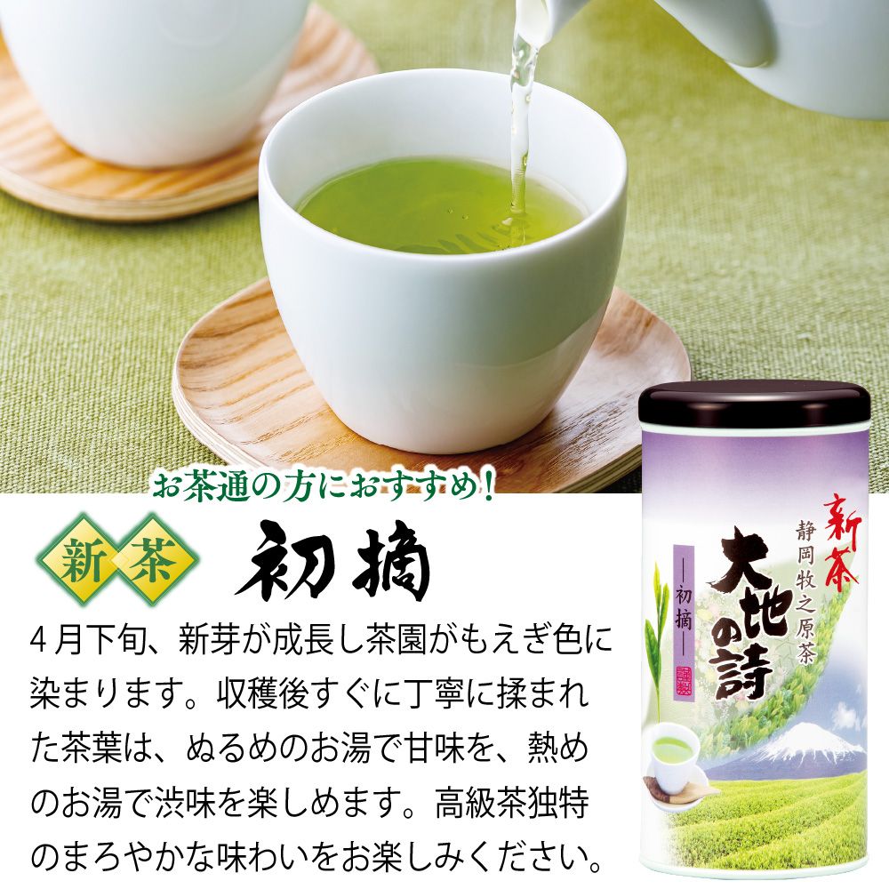 新茶 初摘100g紙缶入×3本箱入 特別送料無料 ※出荷時期4/30頃〜　