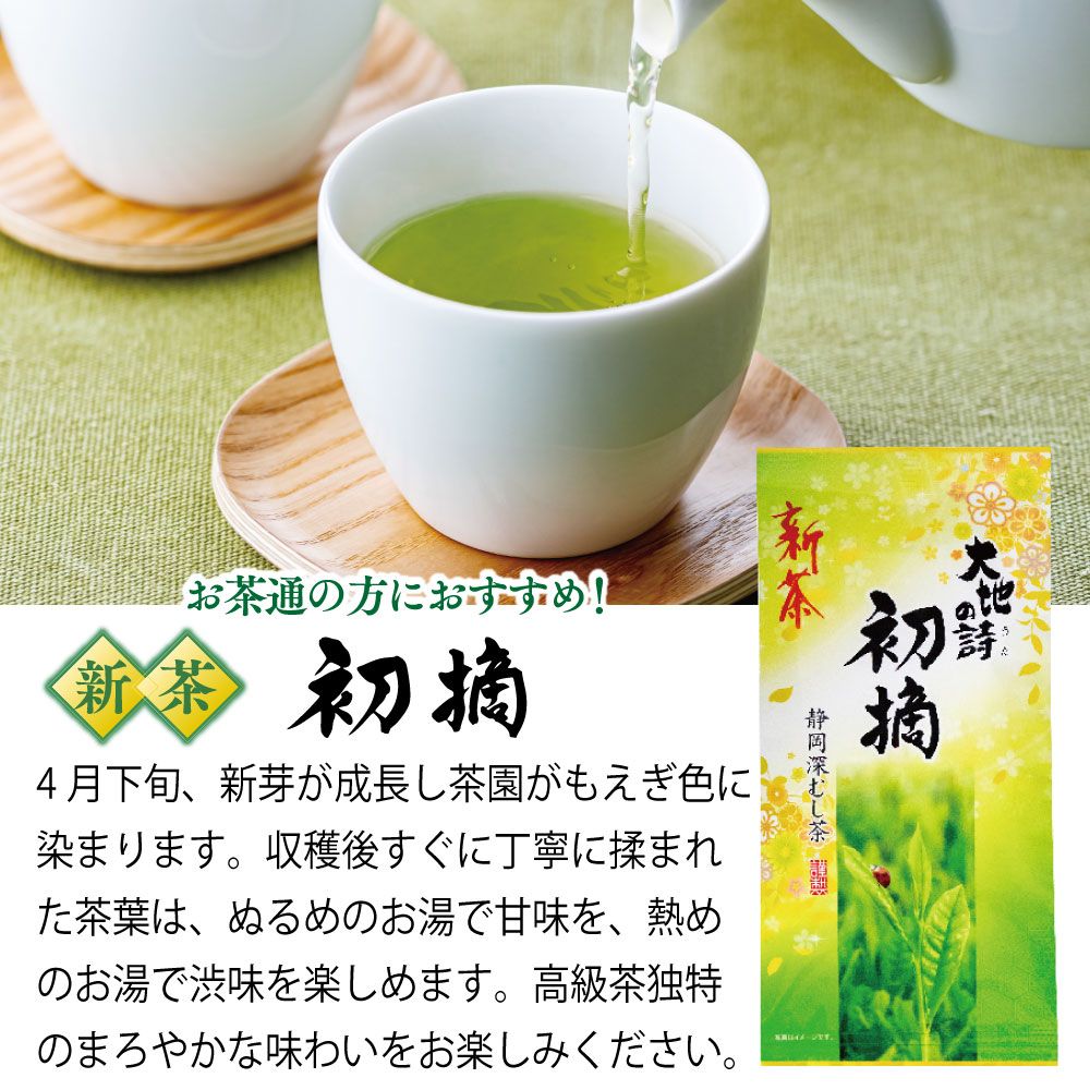 新茶 初摘100g入×6袋セット 送料無料 ※出荷時期4/30頃〜　