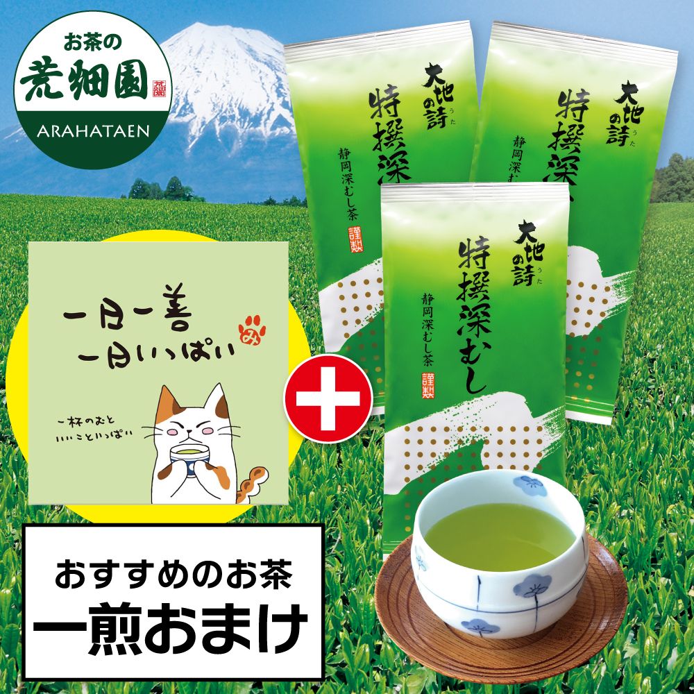 ■特撰深むし3袋+一煎おまけ 送料無料　