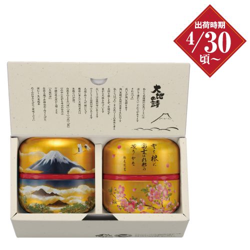 新茶 一作60g缶 2本箱入 ※出荷時期4/30頃〜　