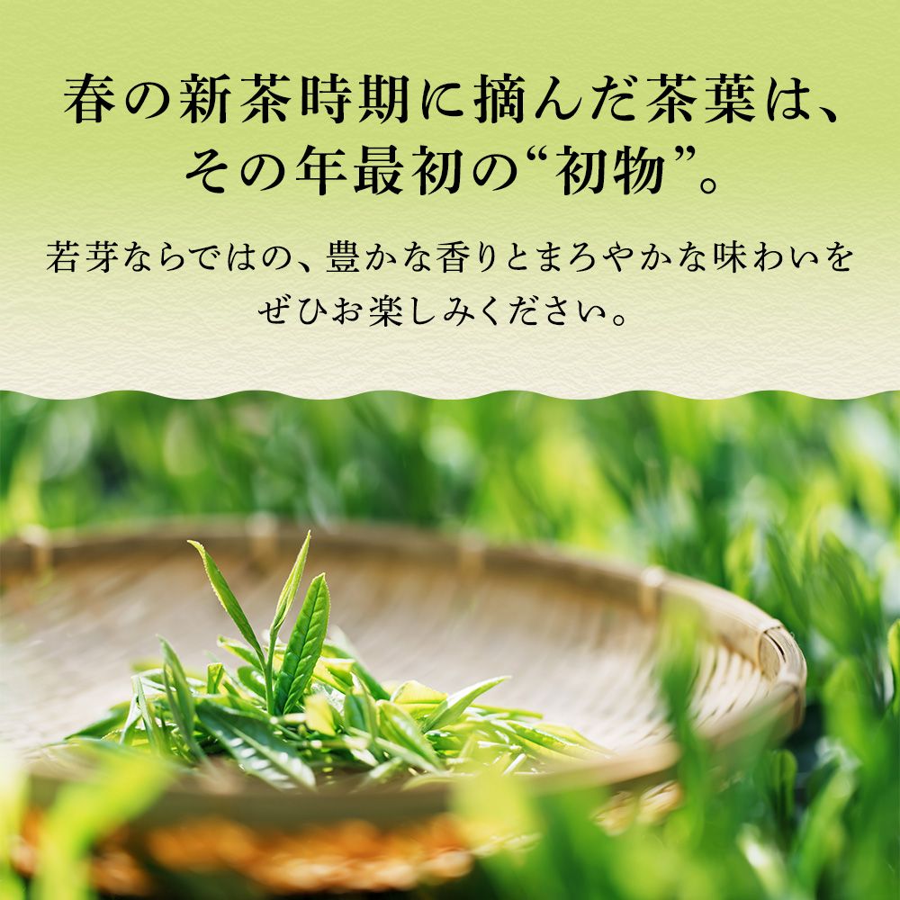 ■48％OFF 厳選がぶ飲み深むしティーパック3袋＋おまけ2種 送料無料　