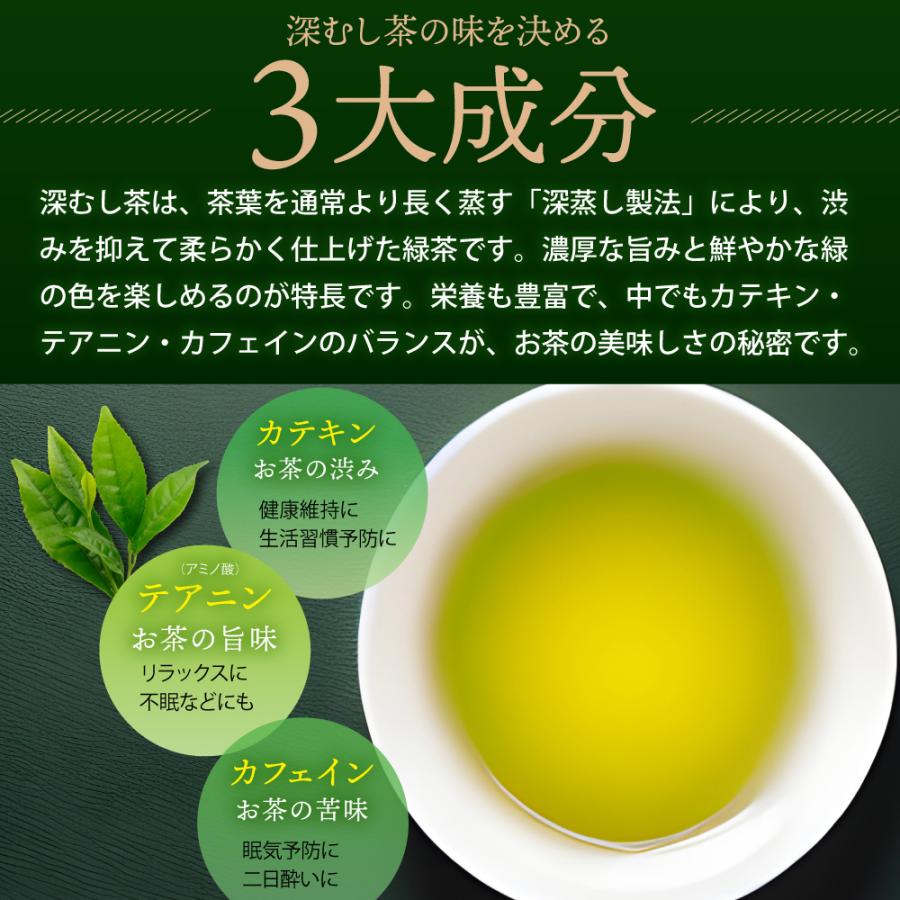 ■大入り濃いがぶがぶ飲めるティーパック2種セット 送料無料　