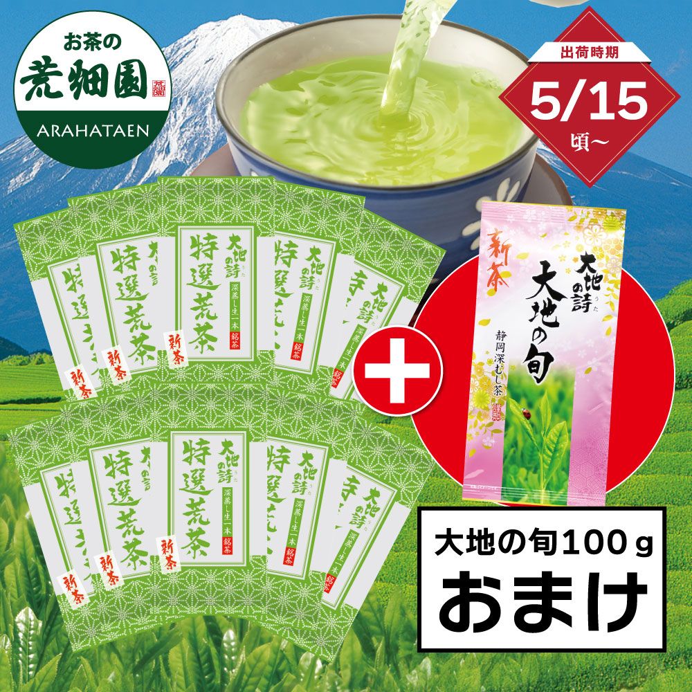 ■ハガキ 5％OFF 新茶 特選荒茶10袋＋大地の旬100gおまけ 送料無料  ※出荷時期5/15頃〜