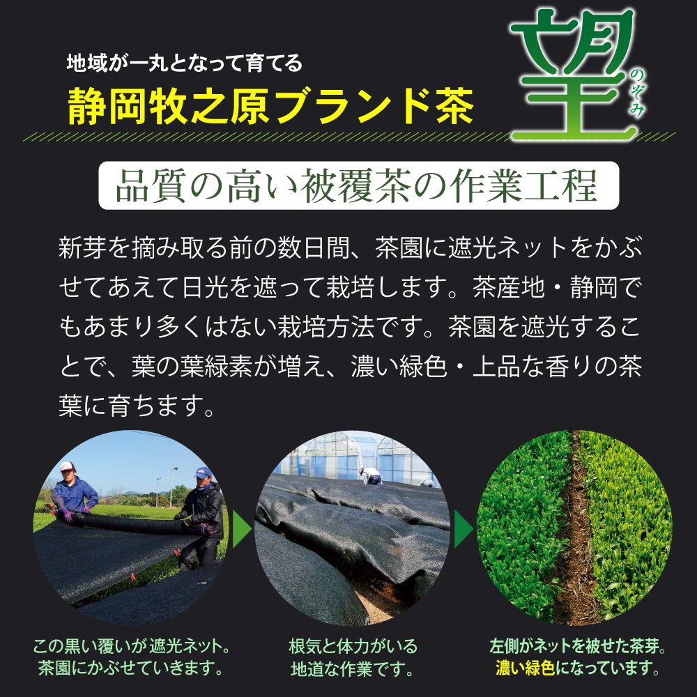 ■7％OFF 新茶 望 金印4袋 送料無料　※出荷時期5/8頃〜