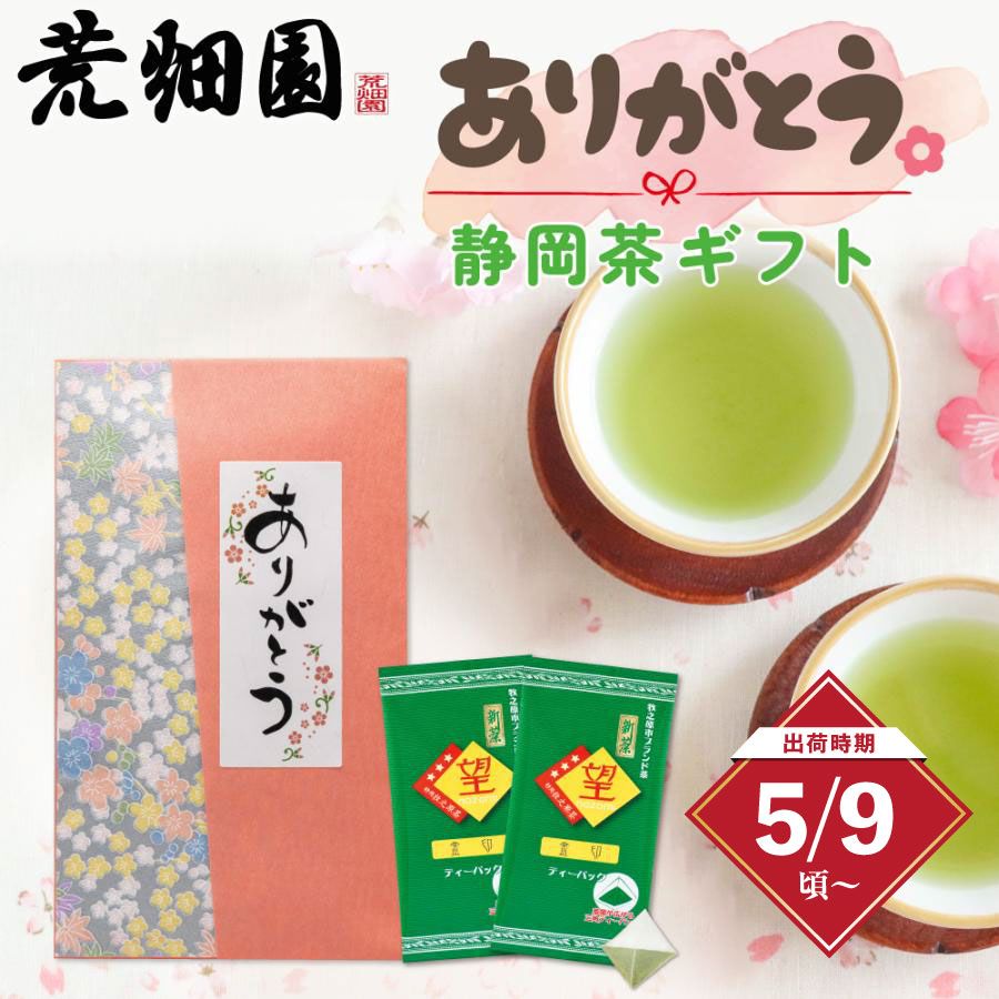 新茶 望 金印ティーパック（あららぎ入）　※出荷時期5/9頃〜　