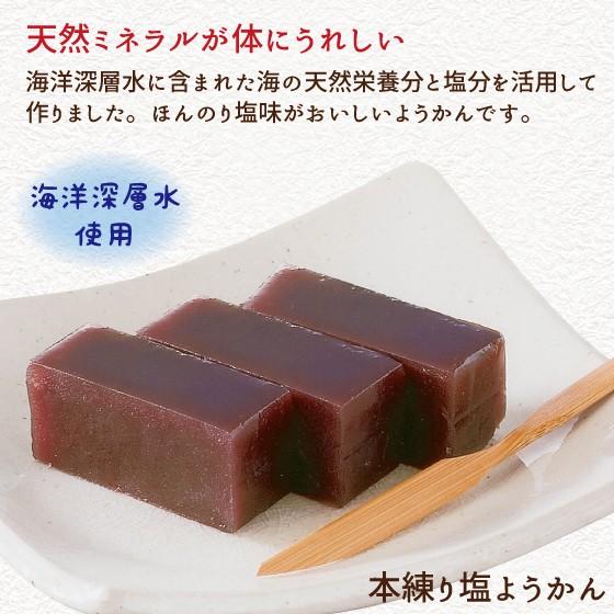 本練り塩ようかん　